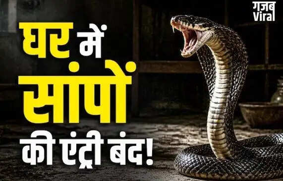 सांपों से सुरक्षा: गर्मियों में घर को सुरक्षित रखने के उपाय