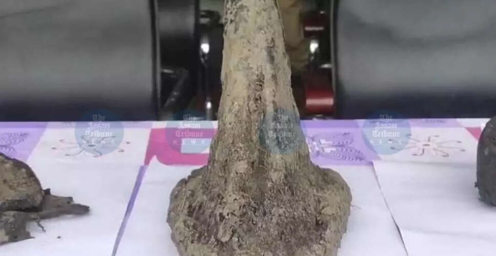 काजीरंगा में गैंडे के सींगों के आनुवंशिक नमूनों की जांच शुरू