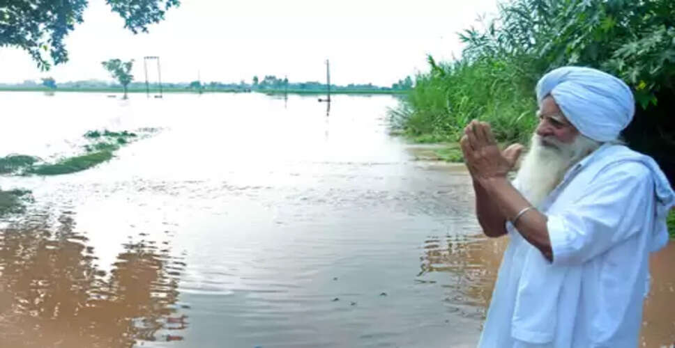 पंजाब में बाढ़ पीड़ितों की मदद के लिए 'आप' का आह्वान, देशभर में चलेंगे अभियान