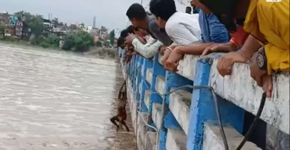 बिहार: फल्गु नदी का अचानक बढ़ा जलस्तर, 12 लोगों को बचाया गया