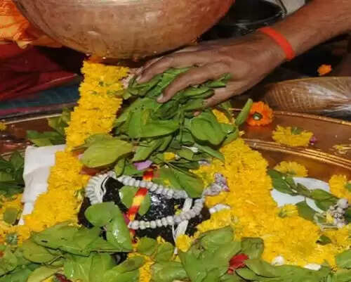 सावन माह में महादेव की कृपा पाने के लिए करें ये उपाय