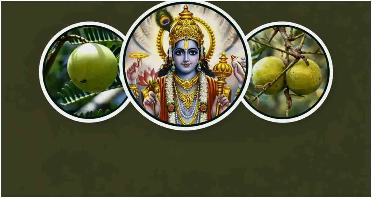 आमलकी एकादशी 2026: आंवले की पूजा का महत्व और लाभ