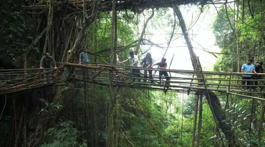 मेघालय के जीवित जड़ पुलों की अद्भुत यात्रा