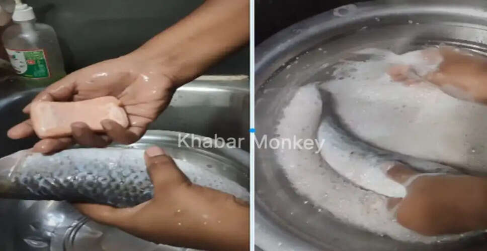 सोशल मीडिया पर मछली धोने का अनोखा तरीका हुआ वायरल
