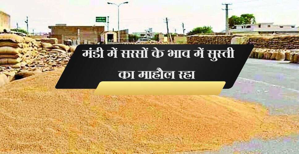 बीकानेर मंडी में फसलों के भाव: 10 जून 2025 की ताजा जानकारी