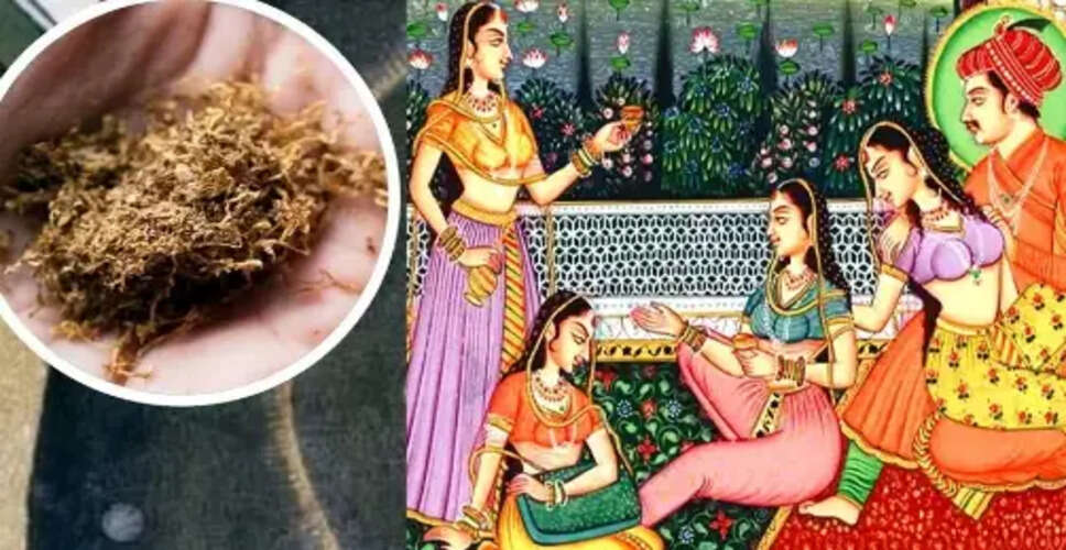 मुगल काल के रहस्यमय व्यंजन: शाही खान-पान की अनकही बातें