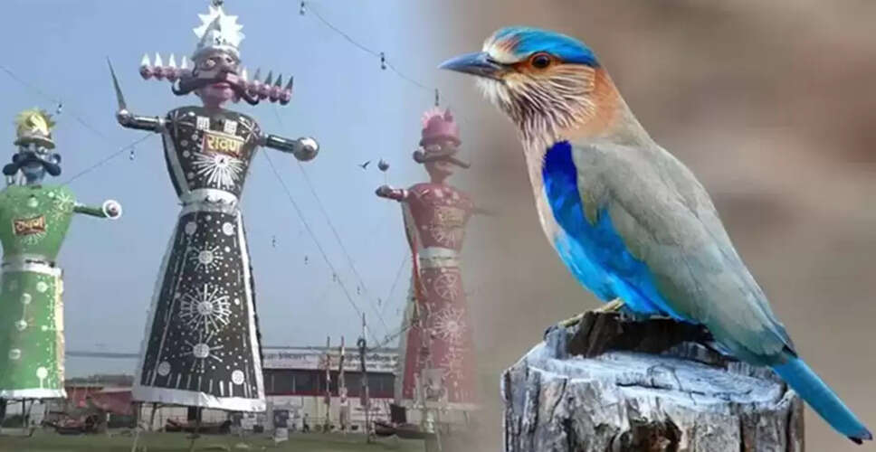 दशहरा: नेलकंठ पक्षी के दर्शन का महत्व