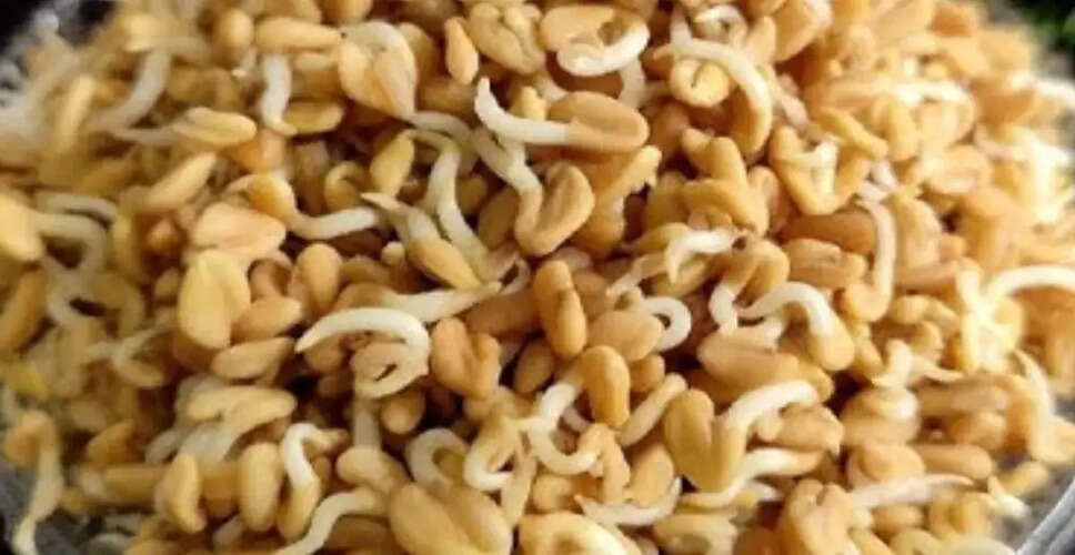 अंकुरित मेथी के स्वास्थ्य लाभ: जानें कैसे करें इसका सेवन