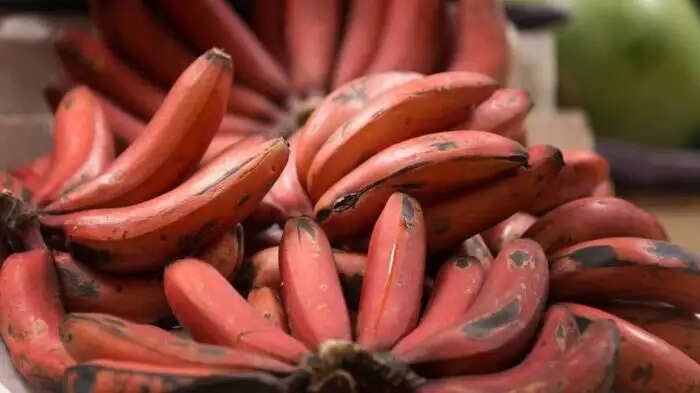 लाल केले के अद्भुत स्वास्थ्य लाभ: जानें इसके फायदे