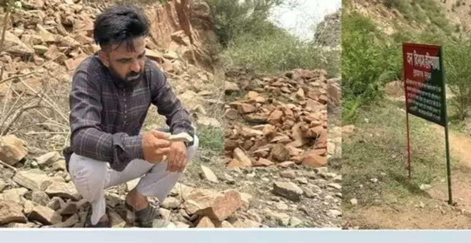 हरियाणा के गांव कलियाणा में मिला अनोखा लचीला पत्थर, वैज्ञानिकों का ध्यान आकर्षित