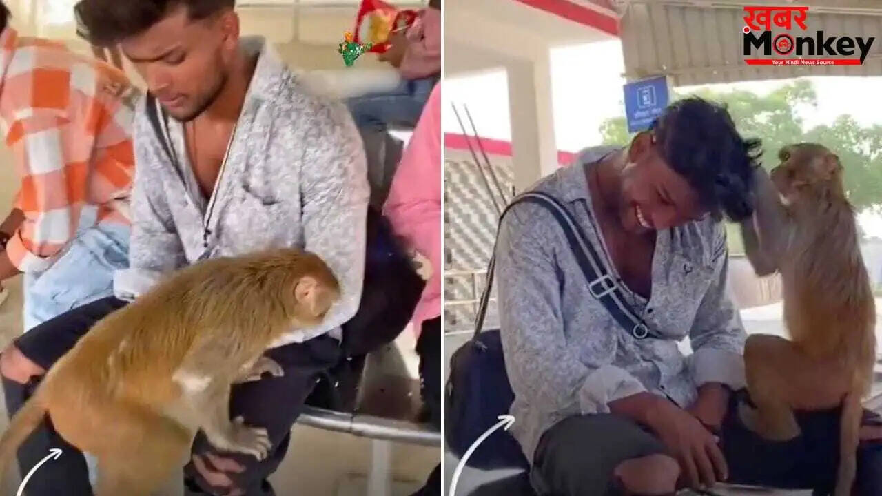 बंदर की शरारत: रेलवे स्टेशन पर युवक के बालों की सफाई का मजेदार वीडियो