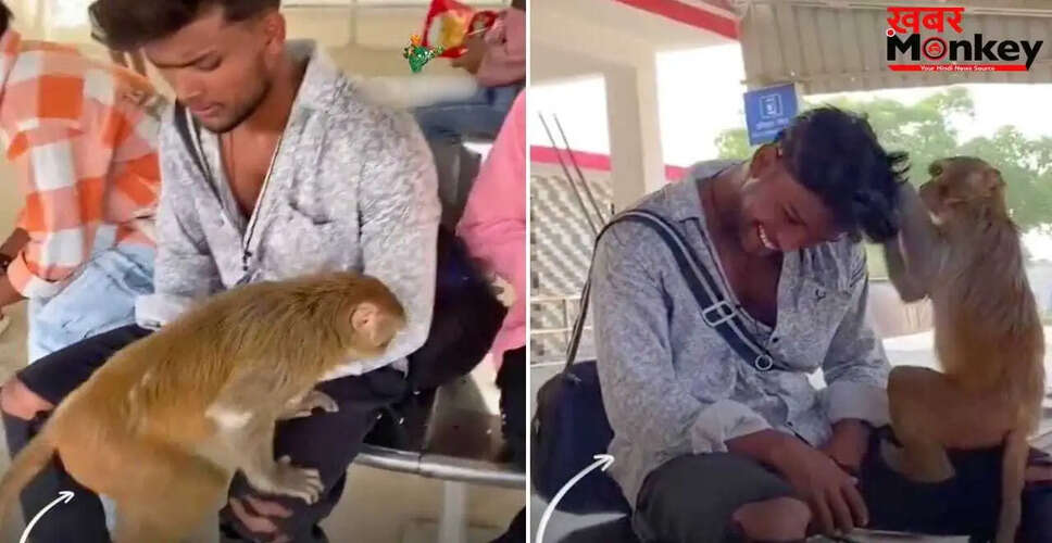 बंदर की शरारत: रेलवे स्टेशन पर युवक के बालों की सफाई का मजेदार वीडियो