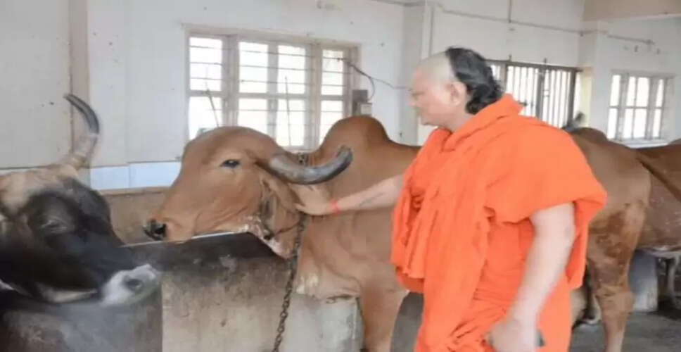 राजस्थान की गौशाला में लखपति गायों की अनोखी परंपरा