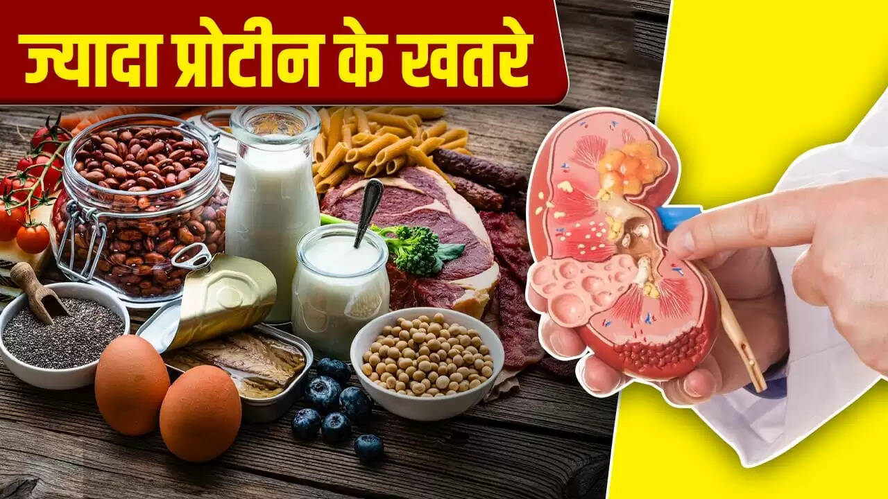 क्या हाई प्रोटीन डाइट किडनी के लिए हानिकारक है? जानें विशेषज्ञ की राय
