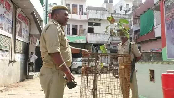 यूपी पुलिस की अनोखी पहल: पीपल के पौधे की सुरक्षा में तैनात