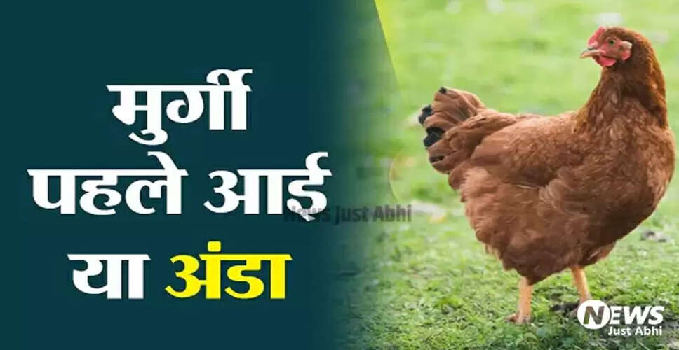 मुर्गी या अंडा: कौन पहले आया? एक वैज्ञानिक दृष्टिकोण