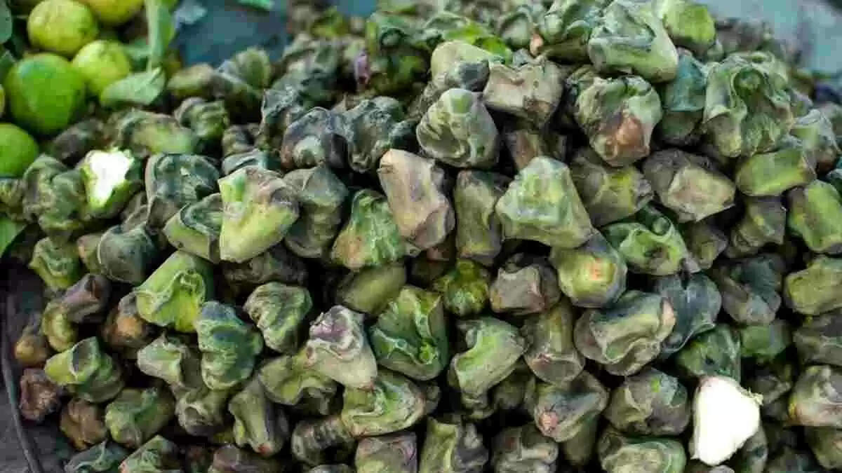 सिंघाड़ा: स्वास्थ्य के लिए चमत्कारी फल और इसके अद्भुत लाभ