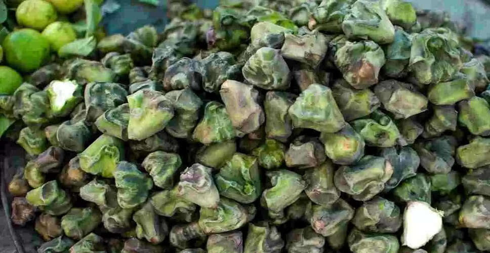 सिंघाड़ा: स्वास्थ्य के लिए चमत्कारी फल और इसके अद्भुत लाभ