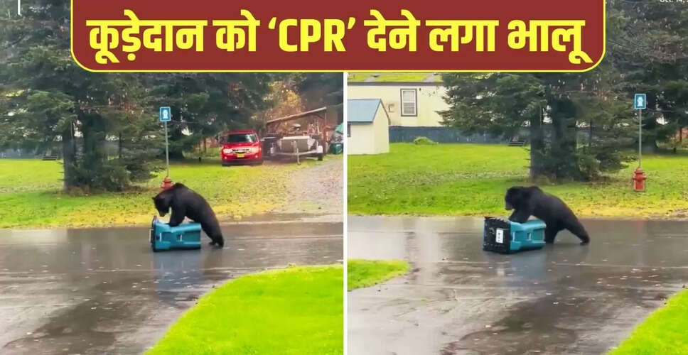 भालू की अनोखी हरकत: कूड़ेदान को CPR देने की कोशिश का वायरल वीडियो