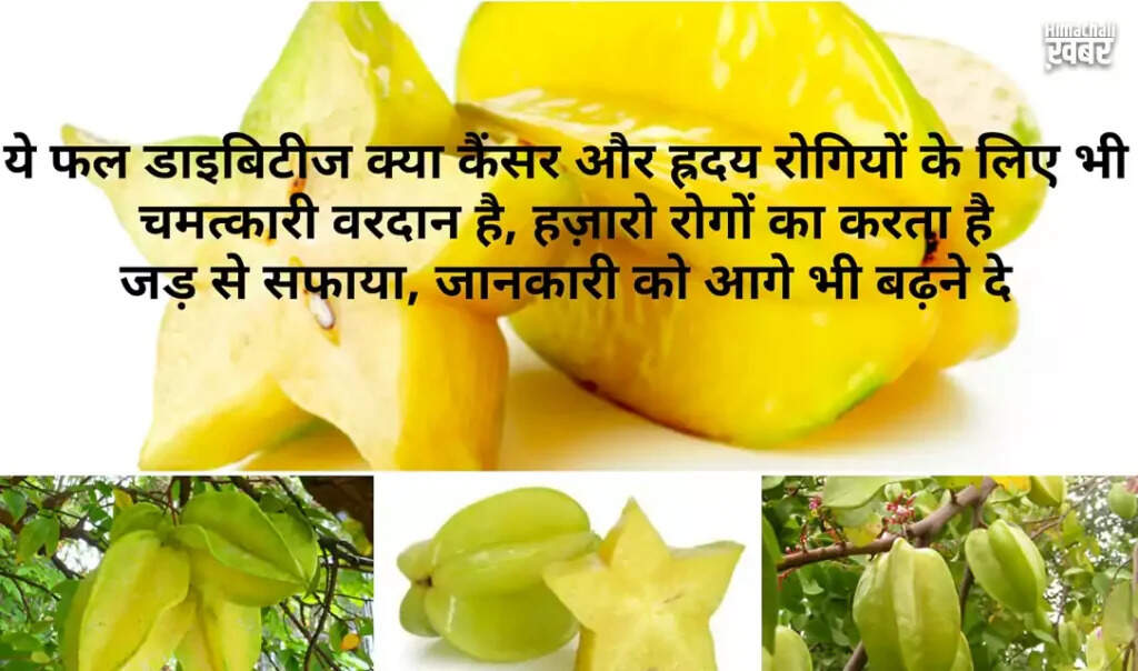 कमरख फल: स्वास्थ्य के लिए चमत्कारी गुणों वाला फल