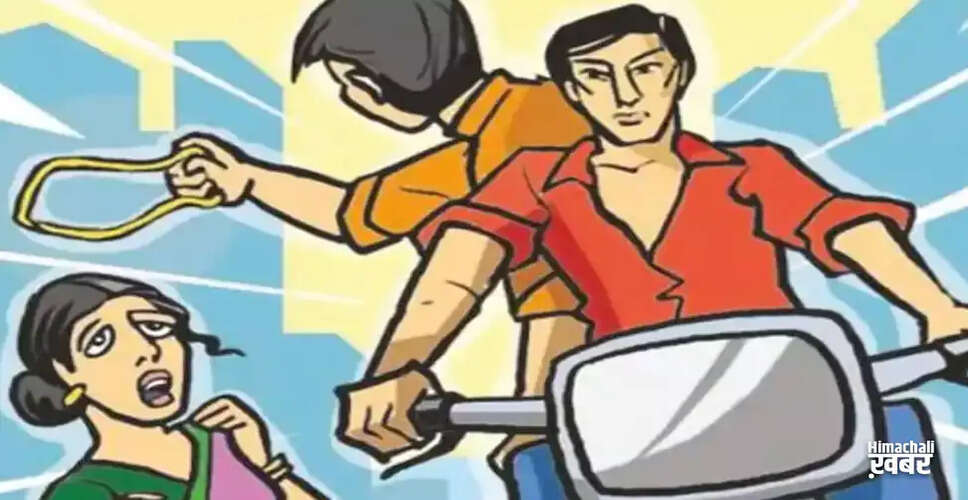 दिल्ली में झपटमारी के आरोपियों की गिरफ्तारी, एक पर 70 से अधिक मामले दर्ज