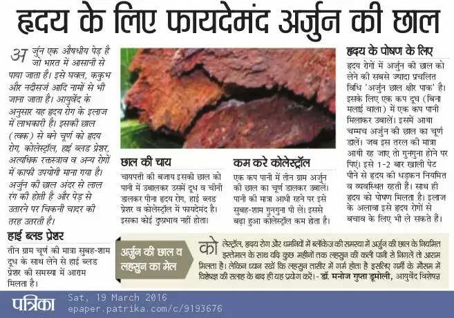अर्जुन की छाल का काढ़ा: स्वास्थ्य के लिए लाभकारी उपाय