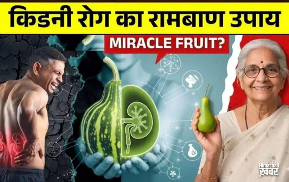 सफेद पेठा: किडनी स्वास्थ्य के लिए एक प्राकृतिक उपाय