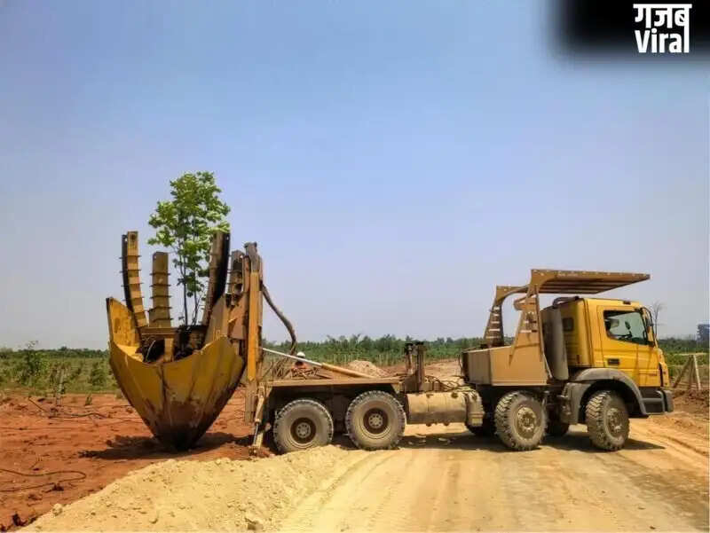 सरगुजा में अदाणी ग्रुप का पर्यावरण संरक्षण का अनूठा उदाहरण