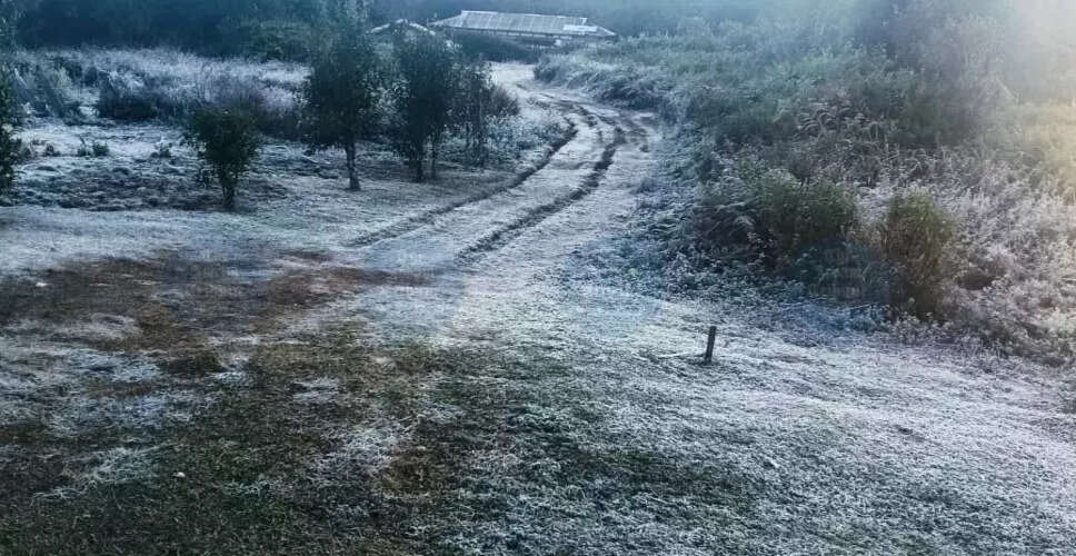 थुरुक गांव: असम का नया सर्दी पर्यटन स्थल