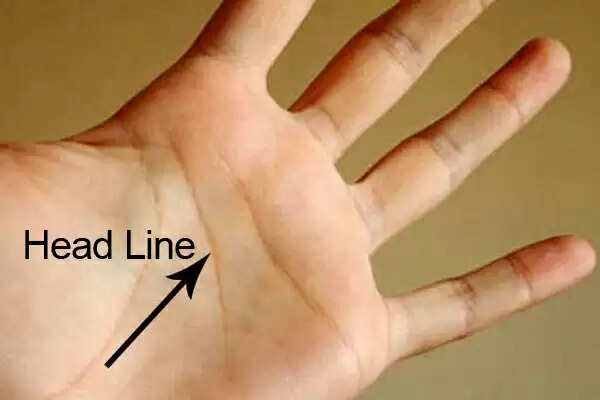 हस्तरेखा: जानें आपके हाथ की रेखाएं और किस्मत का राज़