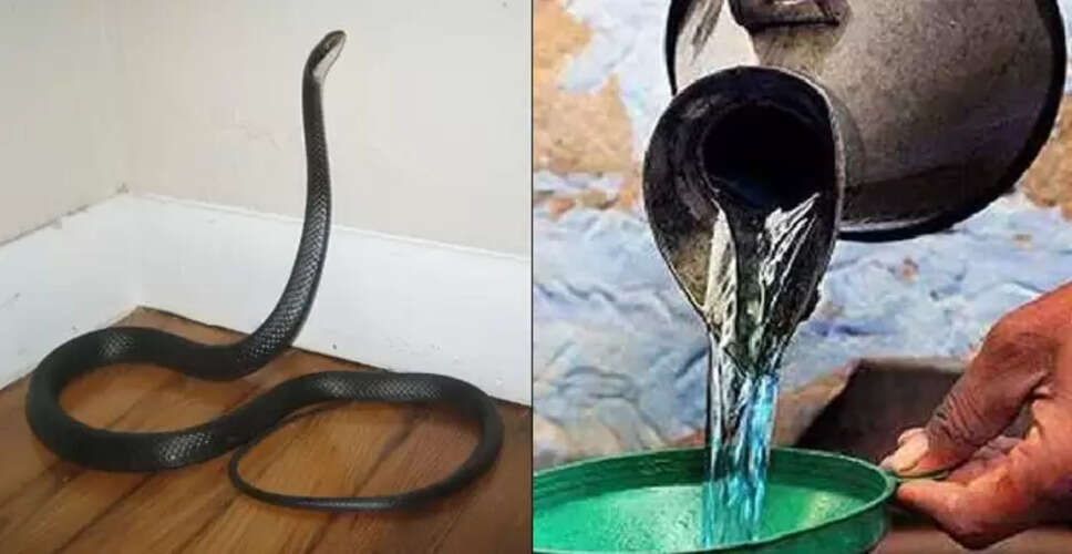 सांपों से बचने के उपाय: जानें कैसे करें सुरक्षा