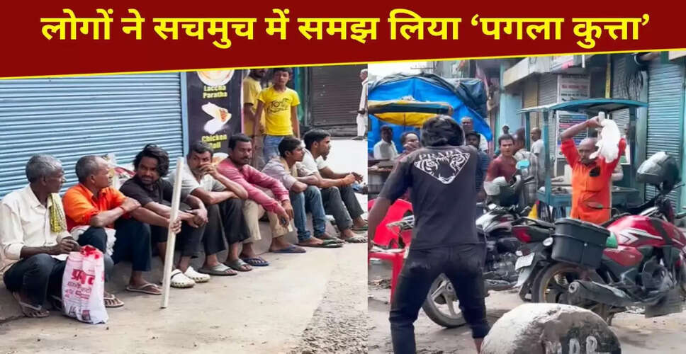 मजेदार प्रैंक वीडियो ने सोशल मीडिया पर मचाई धूम, देखें वायरल क्लिप