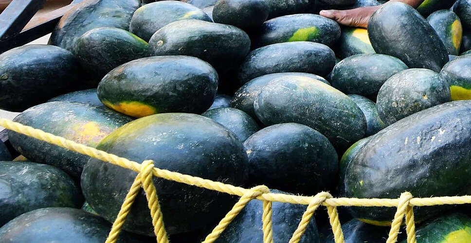 केरल में अवैध विस्फोटकों की बड़ी बरामदगी, पुलिस ने ड्राइवर को किया गिरफ्तार