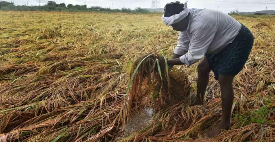 भारत ने रिकॉर्ड चावल भंडार को एथेनॉल उत्पादन में किया परिवर्तित