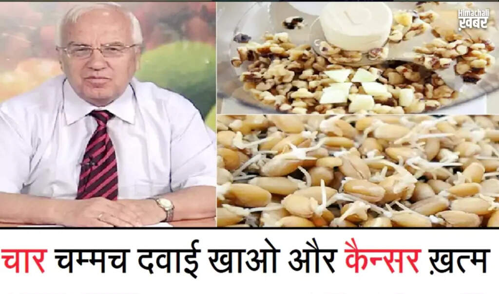 रूसी वैज्ञानिक का कैंसर के लिए प्राकृतिक उपचार: जानें कैसे बनाएं