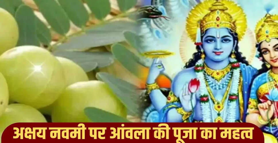 अक्षय नवमी 2025: आंवला पूजा का महत्व और धार्मिक मान्यताएँ