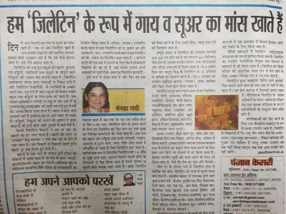 कैप्सूल और गोलियों में मांसाहार का रहस्य: जानें क्या है सच्चाई