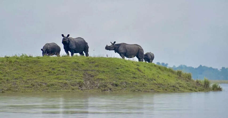 काजीरंगा नेशनल पार्क में बाढ़ की स्थिति नियंत्रण में, जानवर सुरक्षित