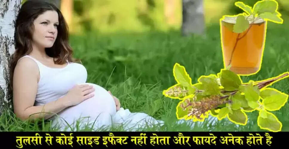 गर्भावस्था में तुलसी के पत्तों के अद्भुत लाभ