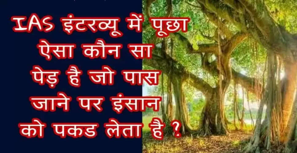 अजीबोगरीब पेड़ और रोचक सवाल: IAS इंटरव्यू के लिए महत्वपूर्ण जानकारी