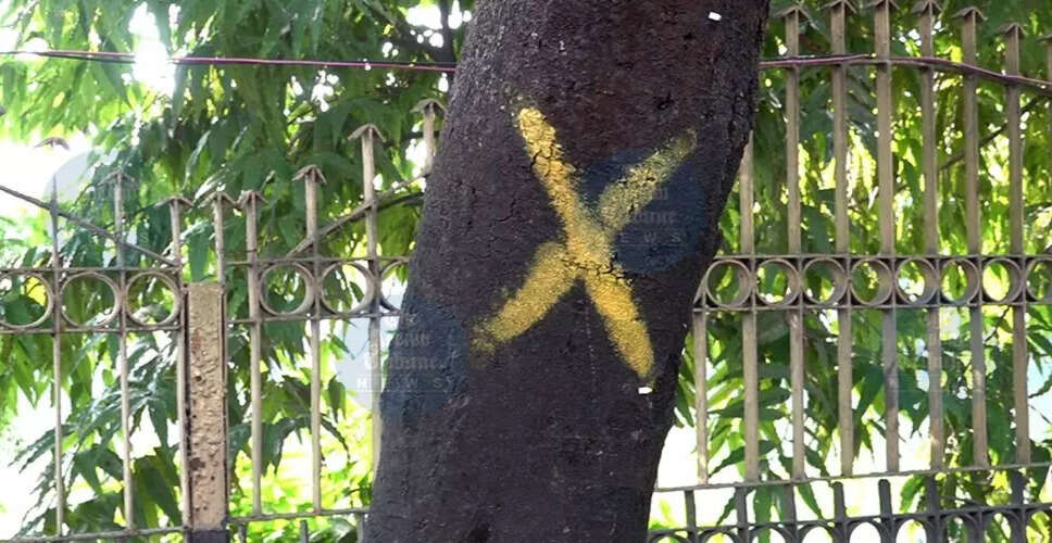 विकास के नाम पर पर्यावरण का विनाश: पेड़ों की अंधाधुंध कटाई