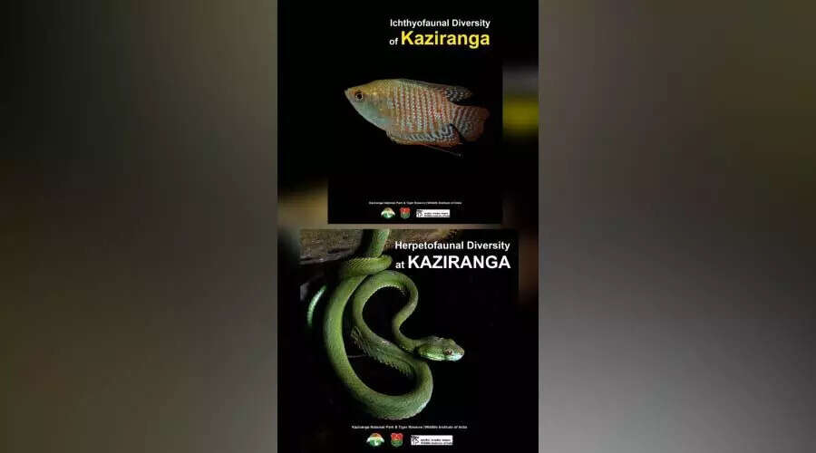 काजीरंगा नेशनल पार्क में जलीय जीवन की विविधता का अद्भुत प्रदर्शन