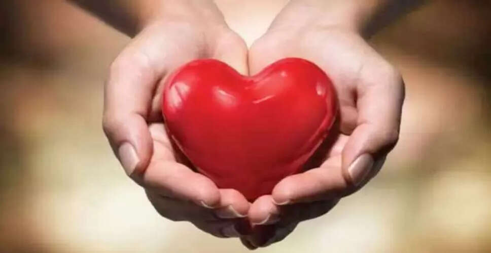 नेटल लीफ: स्वास्थ्य के लिए अद्भुत जड़ी बूटी के लाभ