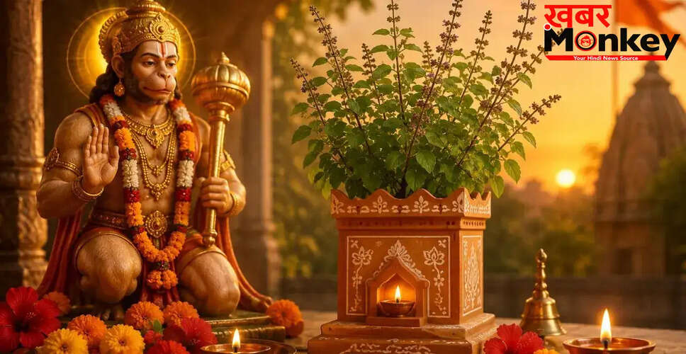 बड़ा मंगल पर तुलसी के उपाय: किस्मत को चमकाने के लिए करें ये सरल उपाय