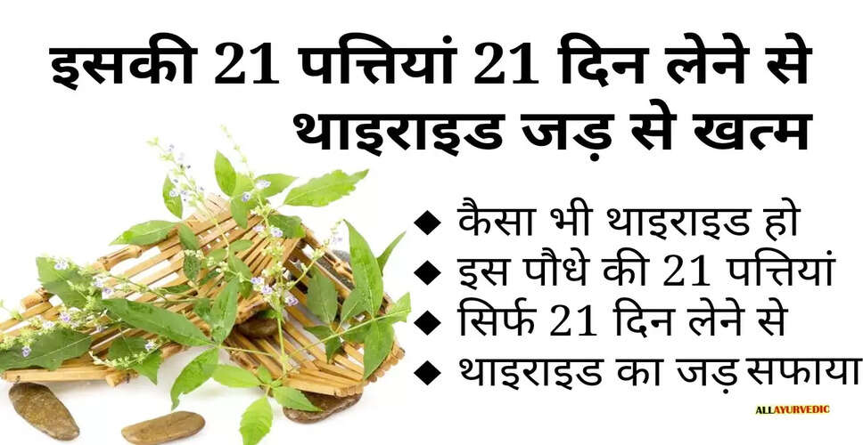 थायराइड की समस्या: कारण, लक्षण और घरेलू उपचार