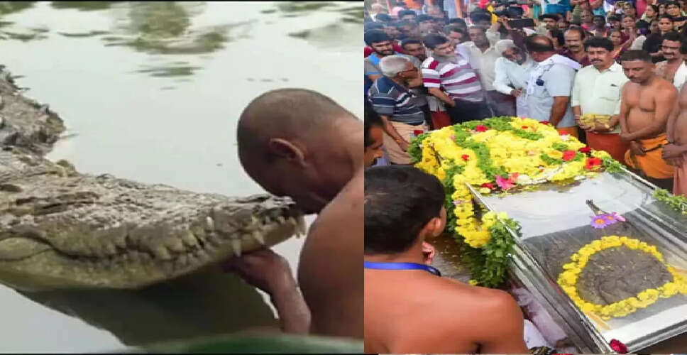 केरल के शाकाहारी मगरमच्छ बाबिया का निधन: श्रद्धांजलि और श्रद्धा का प्रतीक