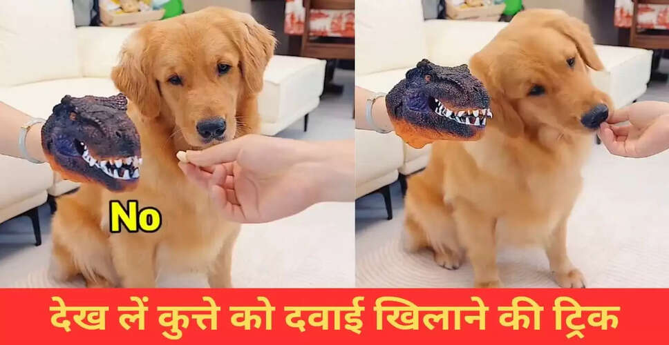 कुत्ते को दवाई खिलाने का मजेदार तरीका वायरल