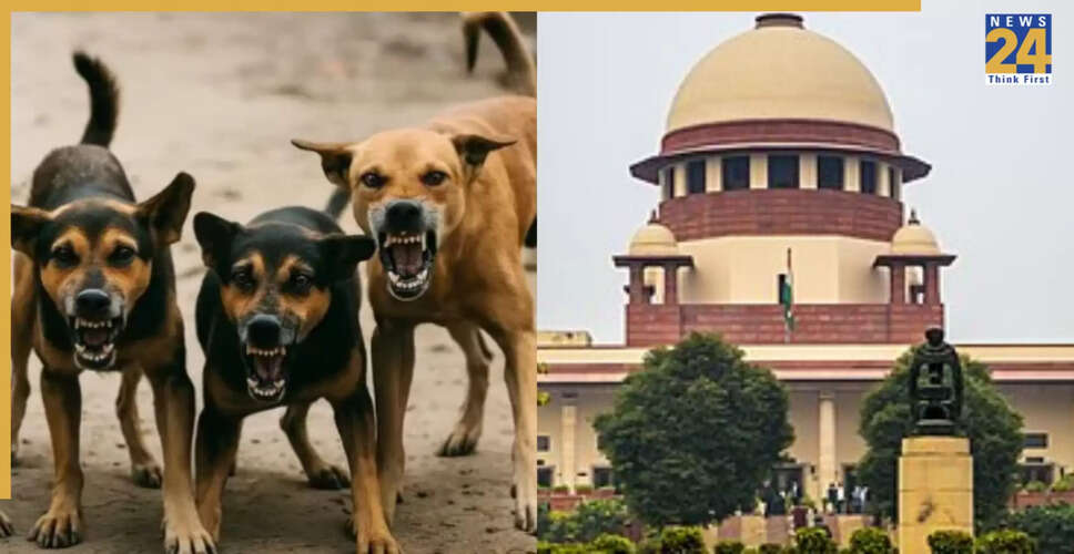 सुप्रीम कोर्ट आज देगा कुत्तों के आश्रय मामले में फैसला