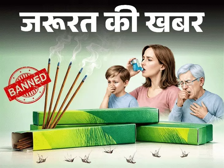 गर्मी और बरसात में मच्छरों से बचने के उपाय