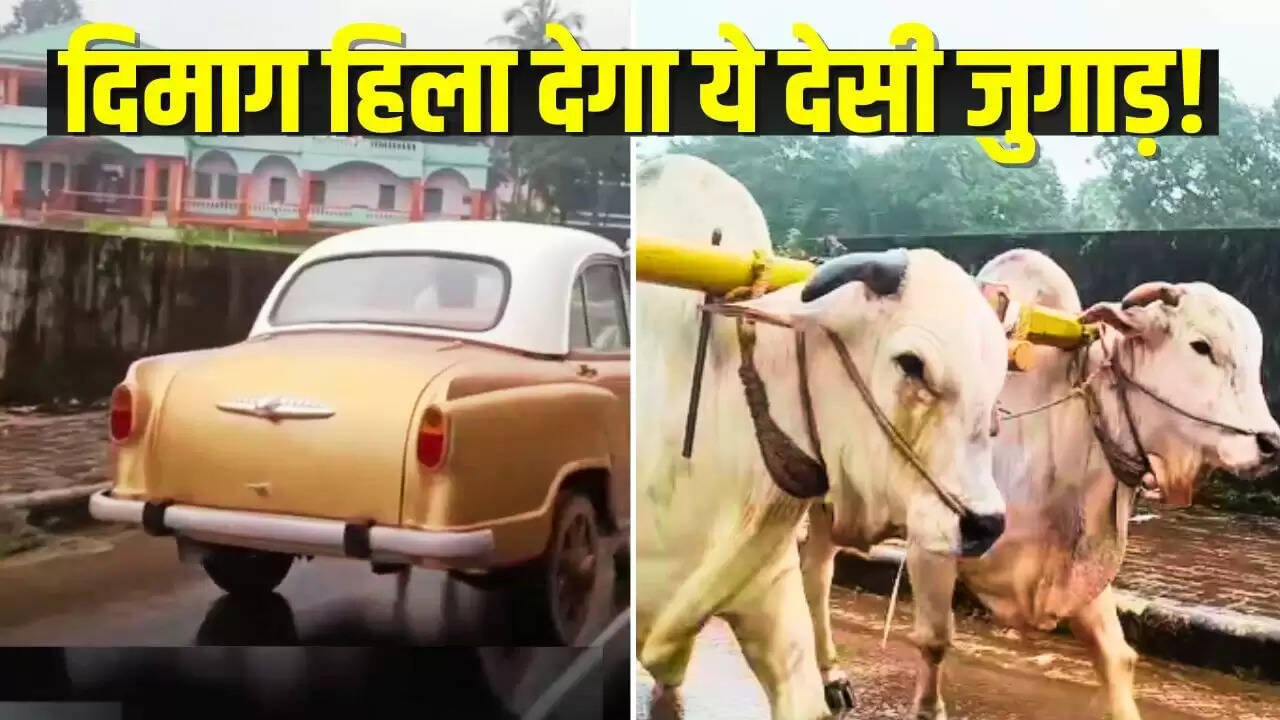 अनोखा देसी जुगाड़: बैलगाड़ी को बनाया कार जैसा